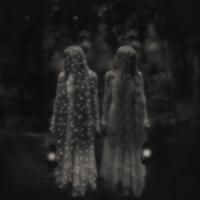 Contest Entry