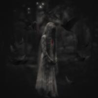 Contest Entry