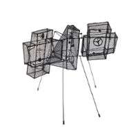 Contest Entry